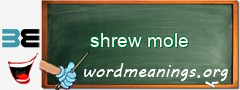 WordMeaning blackboard for shrew mole